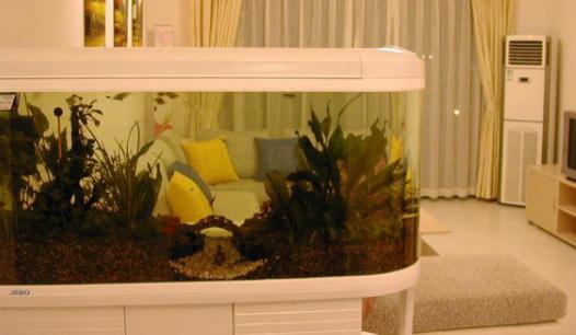 鱼缸摆放风水的注意事项有哪些?