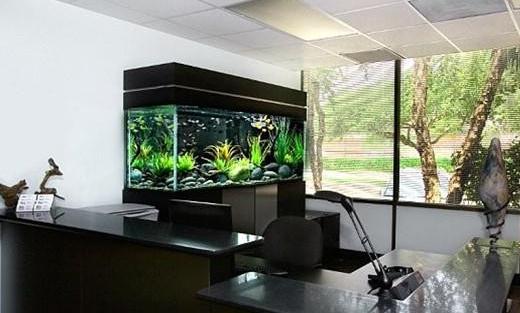 鱼缸的摆放方位-鱼缸怎么摆放?