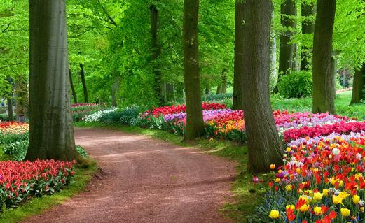 空中花园的环境指标是怎样的?